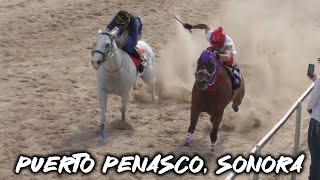 Carreras de Caballos en Puerto Peñasco Sonora 09 de Junio 2024 [upl. by Snej]