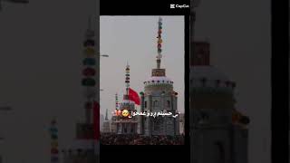 ya hussain as ya abbas  ZAWAR GHAZANFAR ABBAS  SAFINAENIJAAT [upl. by Larrisa]