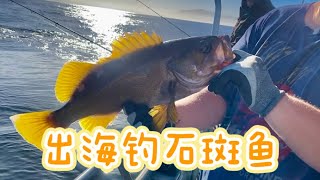 【全程记录】在美国出海钓石斑鱼和螃蟹  Oregon Coast rockfish and crabs Garibaldi OR [upl. by Bartko608]