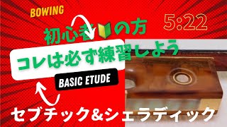 ここ一年位からバイオリン弾いてる方達の初級編講座 セブチックとシェラディックの使い方 [upl. by Freed]