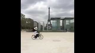 Les pandas de zoobeauval  à vélo dans Paris [upl. by Elinor]