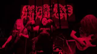 Masacre  Imperio Del Terror Live quotSummoning Deathquot PMF [upl. by Yunfei]