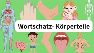 Deutsch lernen Die Körperteile wortschatz body parts A1 A2 [upl. by Ardnua287]