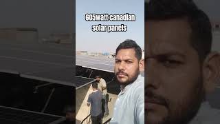 20 605 watt canadian solar panel stend [upl. by Adnarram837]