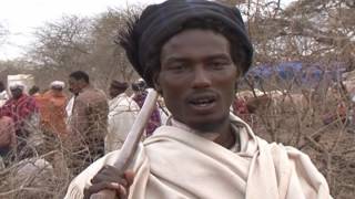 Gada system an indigenous democratic sociopolitical system of the Oromo [upl. by Burkhart168]