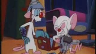 Pinky amp Brain  Funny Clips [upl. by Cordell681]