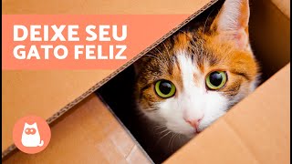 ENRIQUECIMENTO AMBIENTAL para GATOS 🏠🐈 Muito Importante [upl. by Ahsenal]