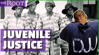 History of the Juvenile Justice System [upl. by Burnett]