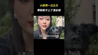 小孩凭一己之力，带妈妈干上了流水线 搞笑 万万没想到 [upl. by Mauchi899]