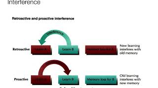 Introduction to Psychology63  Memory Forgetting [upl. by Crysta937]