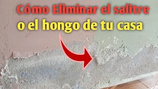 Cómo eliminar el salitre de tu casa con Vinagre 💦 [upl. by Carrelli165]