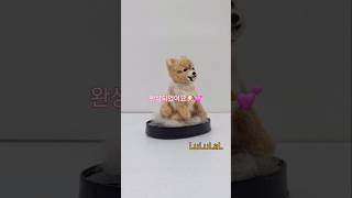 다이소 양모 펠트로 동생이 처음 만든 우리 강아지🐶💕양모펠트포메라니안인형shorts [upl. by Main]