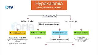 Hypokalemia  Diagnostic approach  differential algorithm  CMDT 2022  Medical Updates  DMA [upl. by Redmond]