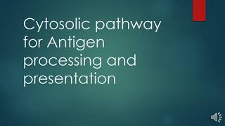 Cytosolic pathway of antigen processing and presentation All the steps with Questions and Answers [upl. by Klos94]