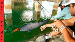 GIANT FISH Takes our COLORFUL FISH on the LINE while Fishing in CRYSTAL CLEAR WATER [upl. by Tabber]