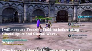 Dragon Nest Elemental Lord Ice Stacking Effect [upl. by Niala]