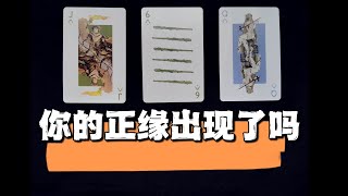 【塔羅牌占卜】你的正緣出現了嗎？不限時間性別取向 [upl. by Ellezaj]