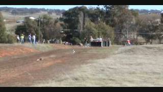 Rat Terrier 200 Yard Sprint Race [upl. by Inajar]