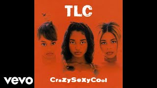 TLC  Case of the Fake People Official Audio [upl. by Inajar107]