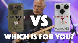 Green Russian vs Rams Head Big Muff for David Gilmour Tones No Talking [upl. by Fishback]