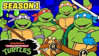 The Evolution Of Teenage Mutant Ninja Turtles Animated [upl. by Eiroj]