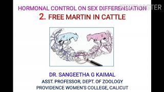 HORMONAL CONTROL ON SEX DIFFERENTIATION  FREE MARTIN IN CATTLE by Dr SANGEETHA G KAIMAL [upl. by Amorette967]