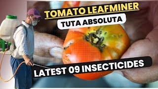 Effective Control of Tomato Leafminer Tuta absoluta  Latest Insecticides amp Management Strategies [upl. by Neenahs972]