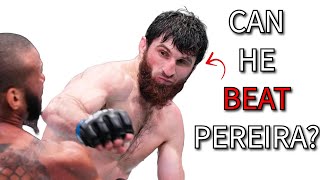 Can Magomed Ankalaev Beat Alex Pereira [upl. by Gladdie]