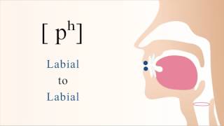 pʰ  unvoiced aspirated bilabial stop [upl. by Lemert]