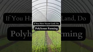 Polyhouse Farming sustainableagriculture [upl. by Mcdade]