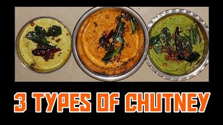 3 types of Chutney Recipe in tamil Tomato Chutney Roasted Bengal Gram ChutneyPudina Chutney [upl. by Anivol]