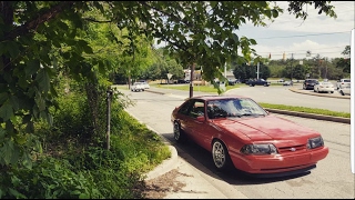 Buying a Foxbody 101 [upl. by Lednahc286]