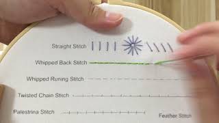 Whipped Back Stitch [upl. by Johnna]