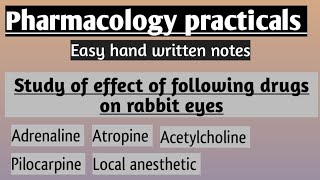 Pharmacology practical l effect of adrenaline Ach atropine pilocarpine amp xylocain in rabbit eye l [upl. by Eyr680]