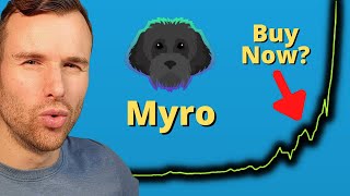 Why the Myro token is up 🤩 Crypto Memecoin Analysis [upl. by O'Reilly]