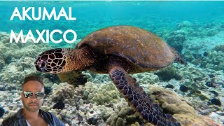 Akumal Mexico  Travel Guide  Turtles [upl. by Eenhat]