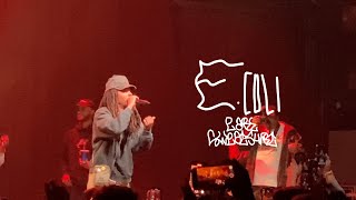 Earl Sweatshirt  E Coli Live at Silver Spring MD [upl. by Atinehc]