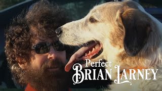 Brian Larney  Perfect Official Music Video [upl. by Ennail]