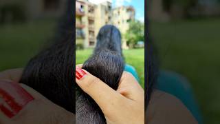 💯Powerful Fenugreek And Black Seeds Hair Growth Tonic shorts haircare hairgrowth longhairviral [upl. by Saqaw941]