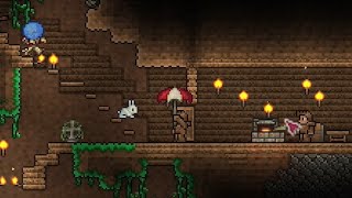 explorar no terraria não foi uma boa ideia [upl. by Eegnat712]