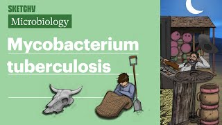 Mycobacterium Tuberculosis Microbiology  USMLE Step 1  Sketchy Medical [upl. by Nnyluqcaj]