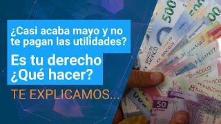 Utilidades 2024 ¿Por qué razón aún no te pagan  Dinero en Imagen [upl. by Snodgrass788]