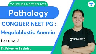 Conquer NEET PG 2022 Megaloblastic Anemia  Pathology  Lets crack NEET PG  DrPriyanka Sachdev [upl. by Meda]