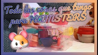 DESACTUALIZADO HAUL completo de todas jaulas juguetes y comida de HAMSTERS [upl. by Whitebook]