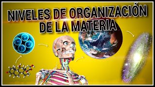 Niveles de ORGANIZACIÓN de la MATERIA [upl. by Amalbena]