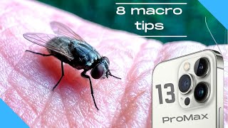 8 tips for macro photography with iphone 13 in 2022 [upl. by Imeon328]