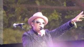 Elvis Costello  She Live [upl. by Ylrae]