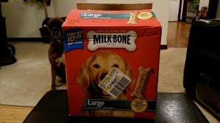 Milk Bone 10LB Large Dog Biscuits Review [upl. by Egroej454]