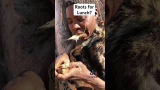 Roots are New AFRICAN STREET FOOD From HADZABE hadzabetribe africa africanfoods [upl. by Nilrak915]