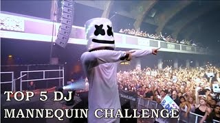 Top 5 DJ Mannequin Challenge SUPER LIT ✔ [upl. by Ward]